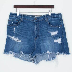 Abercrombie & Fitch‎ Womens Curve Love High Rise Shorts Size 33 16 Distressed